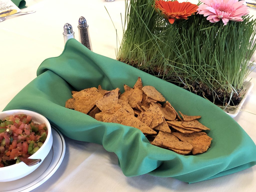 Cricket chips with fresh Pico de Gallo